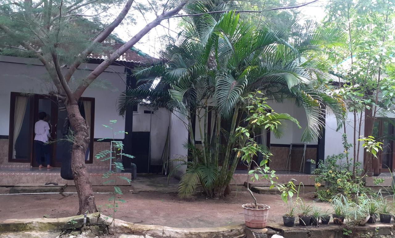 נוסה פנידה Jasmine Inn מראה חיצוני תמונה