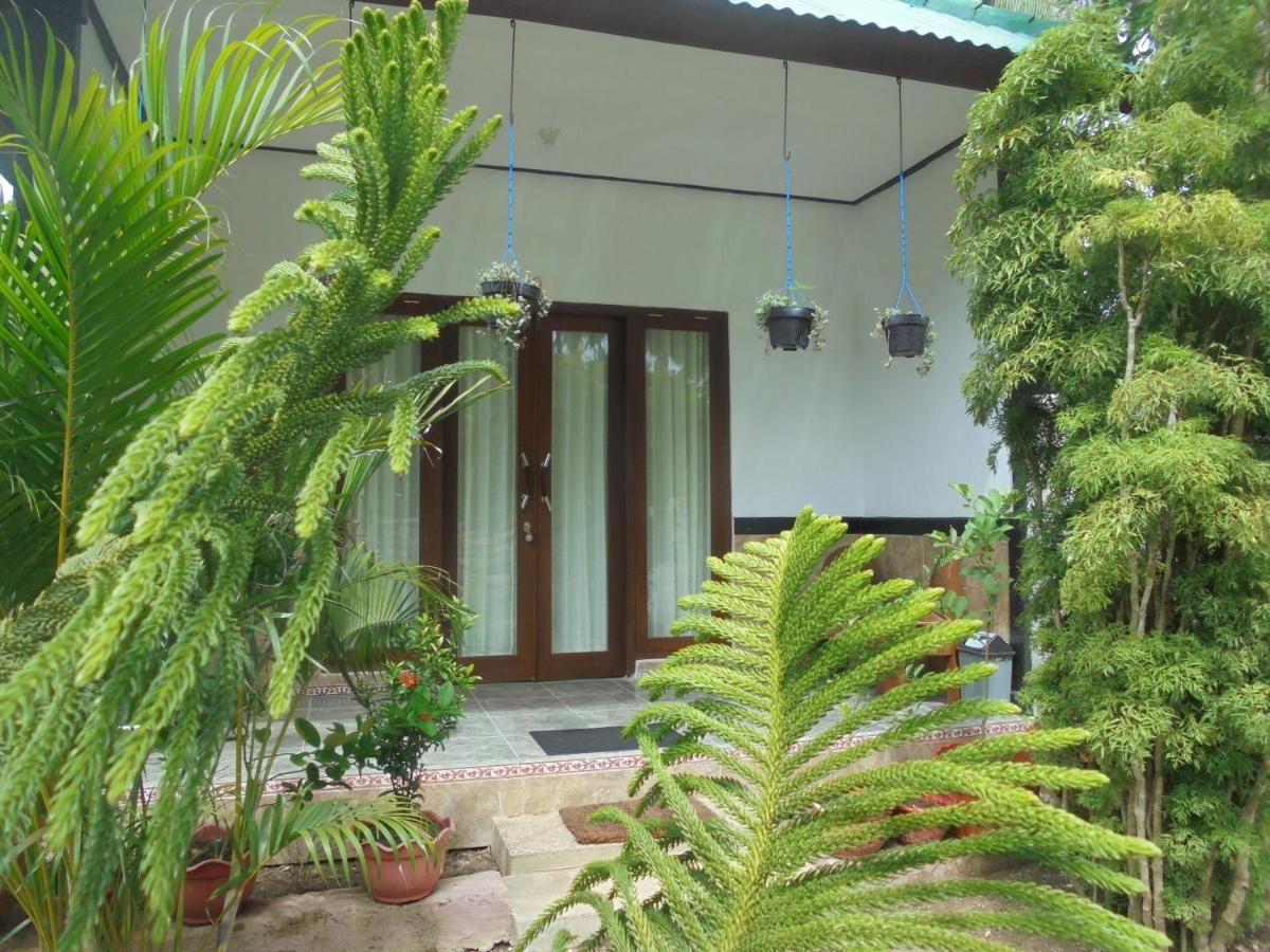 נוסה פנידה Jasmine Inn מראה חיצוני תמונה