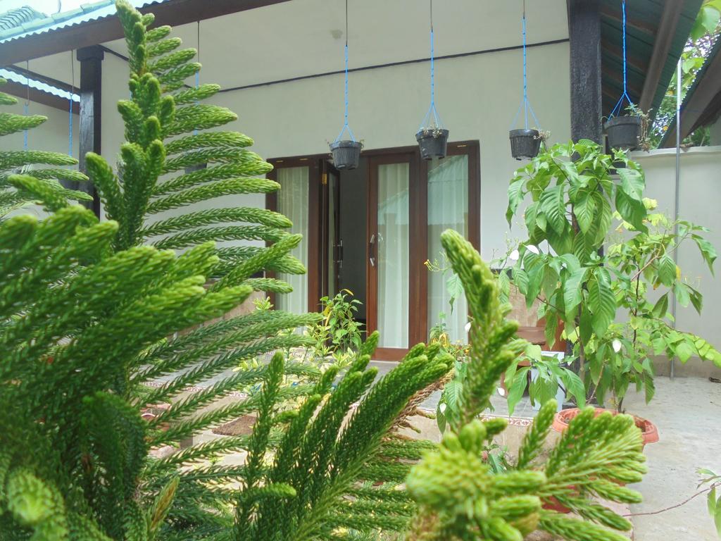 נוסה פנידה Jasmine Inn מראה חיצוני תמונה