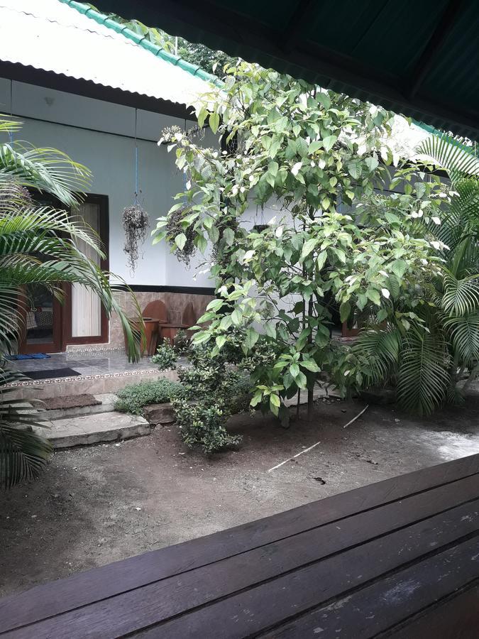 נוסה פנידה Jasmine Inn מראה חיצוני תמונה